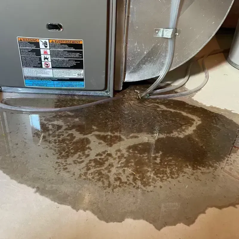 Appliance Leak Cleanup in Orlovista, FL